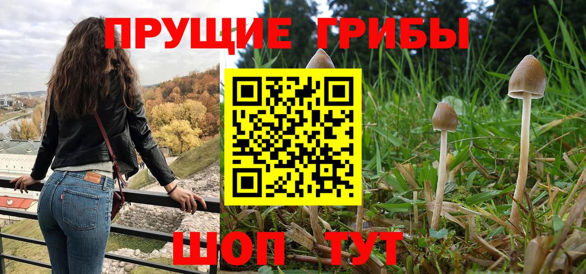 Псилоцибиновые грибы мухоморы Усинск